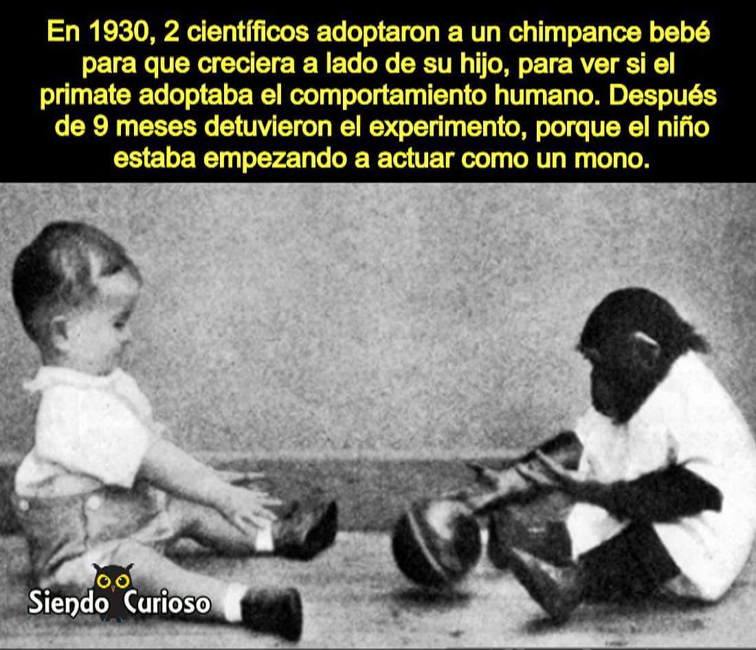 13063417_10205809380134271_5272750302316795495_o